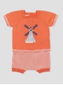 Conjunto punto Holanda