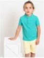 Polo piquei