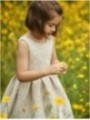 Vestido Jacquard Lily