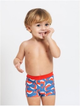 Boxer Ballenas