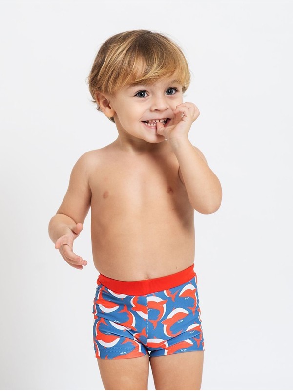Boxer Ballenas