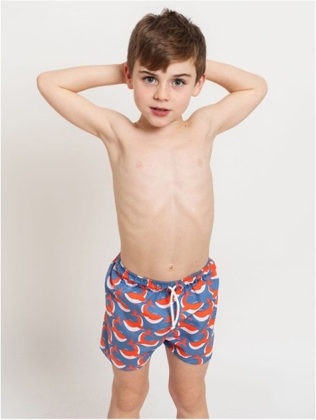 Whales boys’ swimming costume