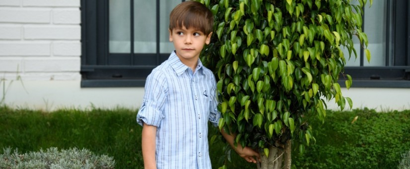 Shirts for boy
